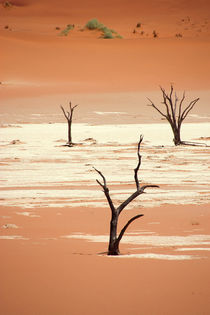 NAMIBIA ... Deadvlei III by meleah