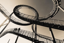 Tiger and Turtle in Duisburg (7-232832) B+W von Franz Walter Photoart