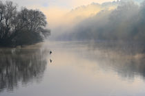 Morgenflug by Bernhard Kaiser