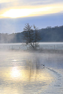 Nebel und Sonnenlicht by Bernhard Kaiser