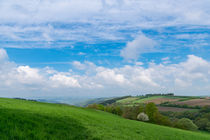 Aussicht im Frühling by Ronald Nickel