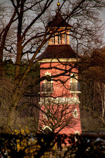 Through the Trees - Leuchtturm von Moritzburg by Chris Berger
