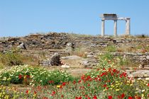 Ancient marble ruins and wild flowers by Yuri Hope