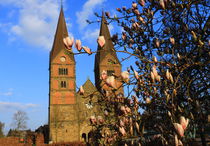 Stiftskirche Bücken im Frühling! von Heinz E. Hornecker