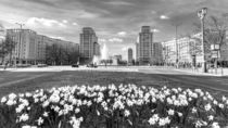 Frühling in der Stadt by Ronny Wunderlich