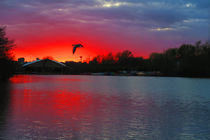 Sunset at Whitlingham Lake, Norwich, U.K by Vincent J. Newman