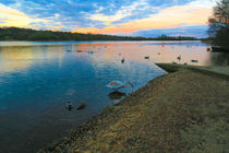 Whitlingham Lake at Dusk, Norwich, U.K by Vincent J. Newman