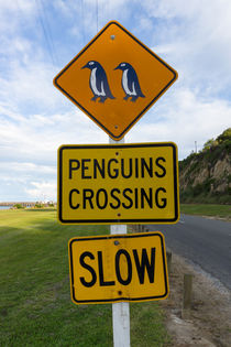 Penguins Crossing Road Sign von globusbummler