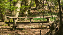 Sitzgelegenheit in der Natur by Stephan Gehrlein