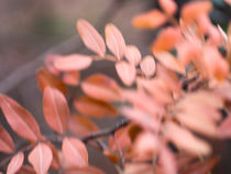 Herbstwind von Jürgen Heitmann