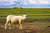 Westerhever Impression by AD DESIGN Photo + PhotoArt