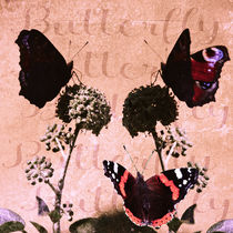 Butterfly - Treffpunkt Efeu von Chris Berger