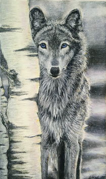 Wolf / Winterwolf von (Anna) Kirsten Helmke