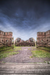 the bridge II von Manfred Hartmann