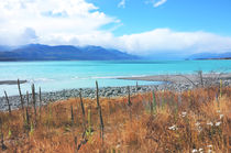 Turquoise Lake by Karen Black