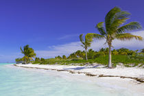 Caribbean beach in Cuba von Bastian Linder