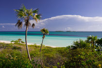 Caribbean beach in Cuba von Bastian Linder