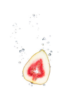 Fig in water with air bubbles von Bastian Linder