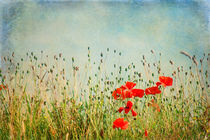 My Summer Dream von AD DESIGN Photo + PhotoArt