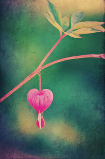 Love is in the air...   von AD DESIGN Photo + PhotoArt