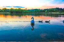 Sunset at Whitlingham Lake, Norwich, U.K  by Vincent J. Newman