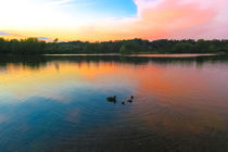 Sunset at Whitlingham Lake, Norwich, U.K  von Vincent J. Newman