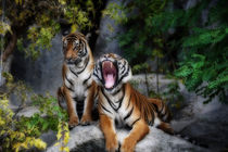 tiger, screaming tiger von hottehue