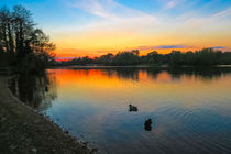 Sunset at Whitlingham Lake, Norwich, U.K  by Vincent J. Newman