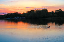 Sunset at Whitlingham Lake, Norwich, U.K  von Vincent J. Newman