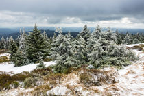 Landschaft mit Schnee auf dem Brocken im Harz von Rico Ködder