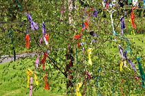 Maibaum mit bunten Streifen von assy