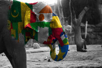 Elephant, africa flag von hottehue
