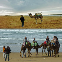 Im Mittelpunkt -- das Kamel! by Hartmut Binder