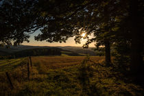 Sonnenuntergang im Sauerland von Simone Rein