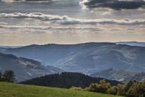 Sommer im Sauerland von Simone Rein