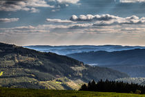 Sommer im Sauerland von Simone Rein