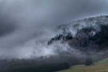 Winter im Sauerland by Simone Rein