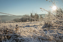 Winter im Sauerland von Simone Rein