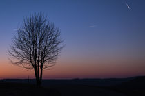 Abendstimmung im Sauerland von Simone Rein