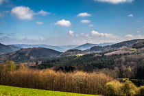 Frühling im Sauerland von Simone Rein