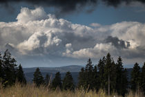 Frühling im Sauerland von Simone Rein