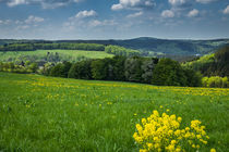 Frühling im Sauerland von Simone Rein