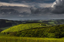 Sommer im Sauerland von Simone Rein