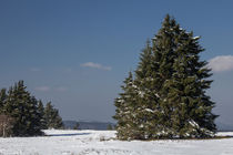 Winter im Sauerland von Simone Rein