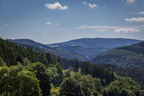 Sommer im Sauerland von Simone Rein