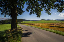 Sommer im Sauerland by Simone Rein