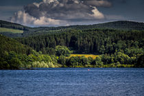 Sommer am Biggesee by Simone Rein