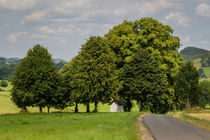 Sommer im Sauerland by Simone Rein