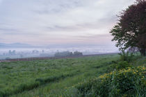 Morgennebel von Christian Braun