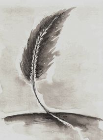 Feather von dieroteiris